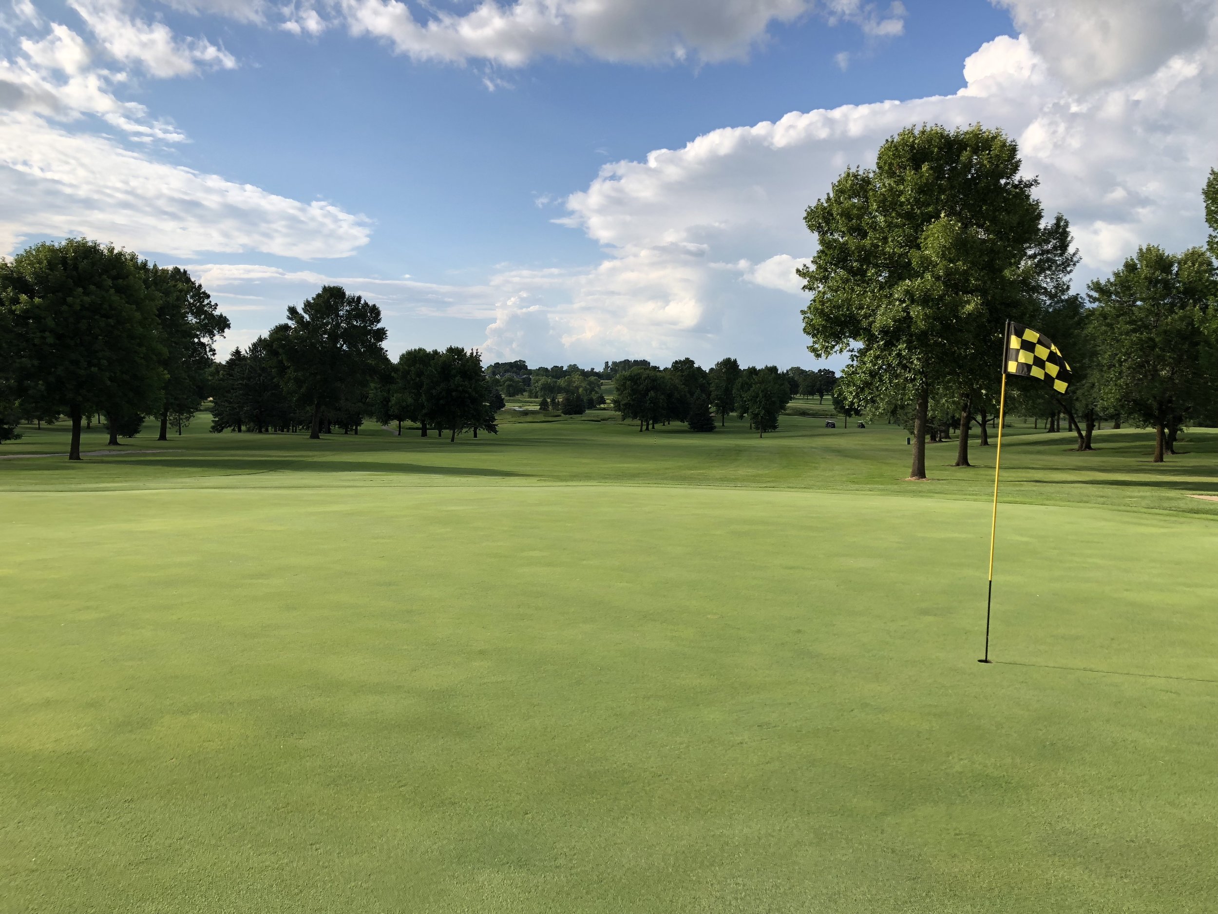A green with a yellow-and-black checkered flag and a tree-lined fairway beyond at Montgomery National
