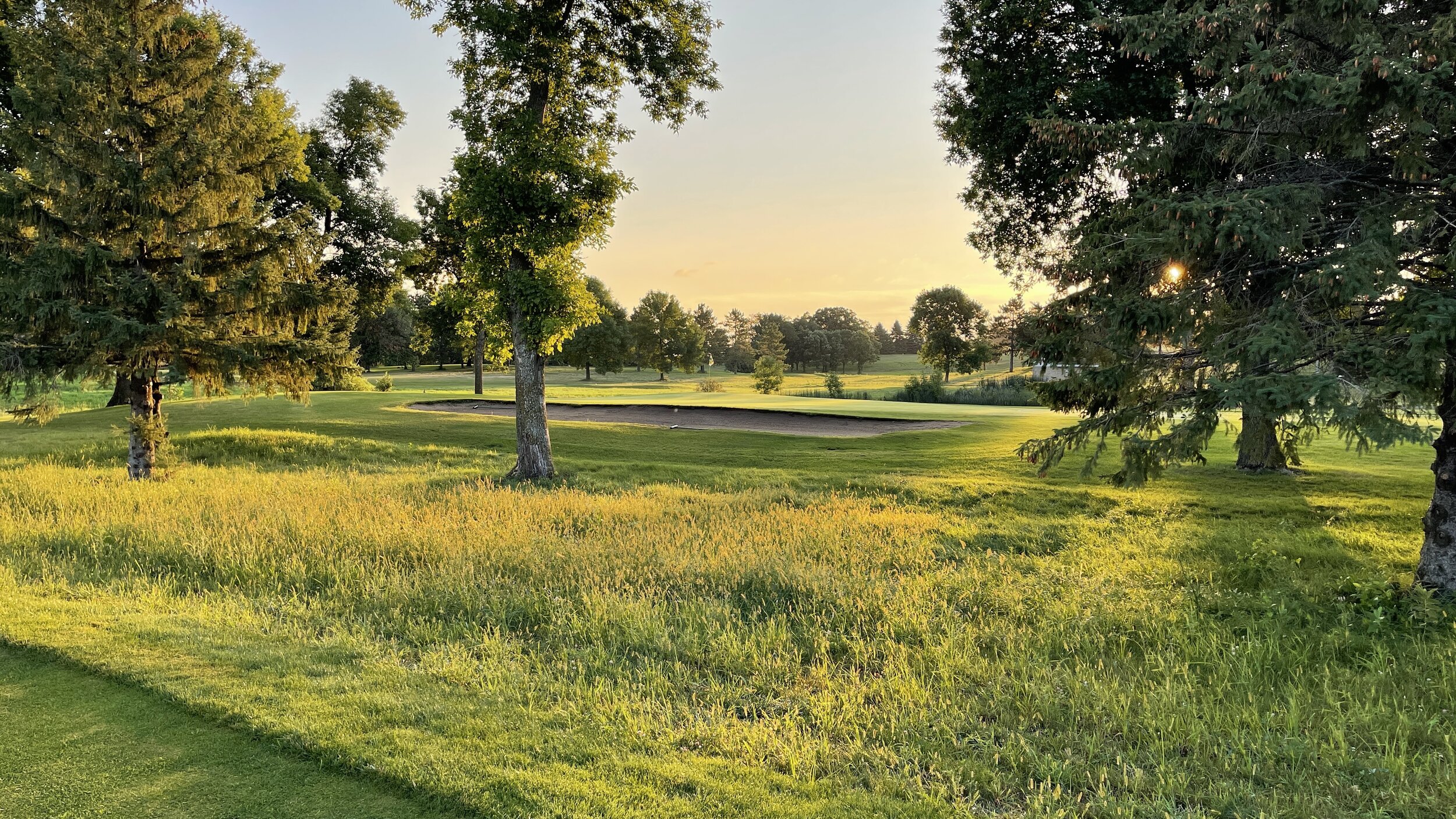 Low sun through evergreen trees beside a fairway and bunker at Montgomery National