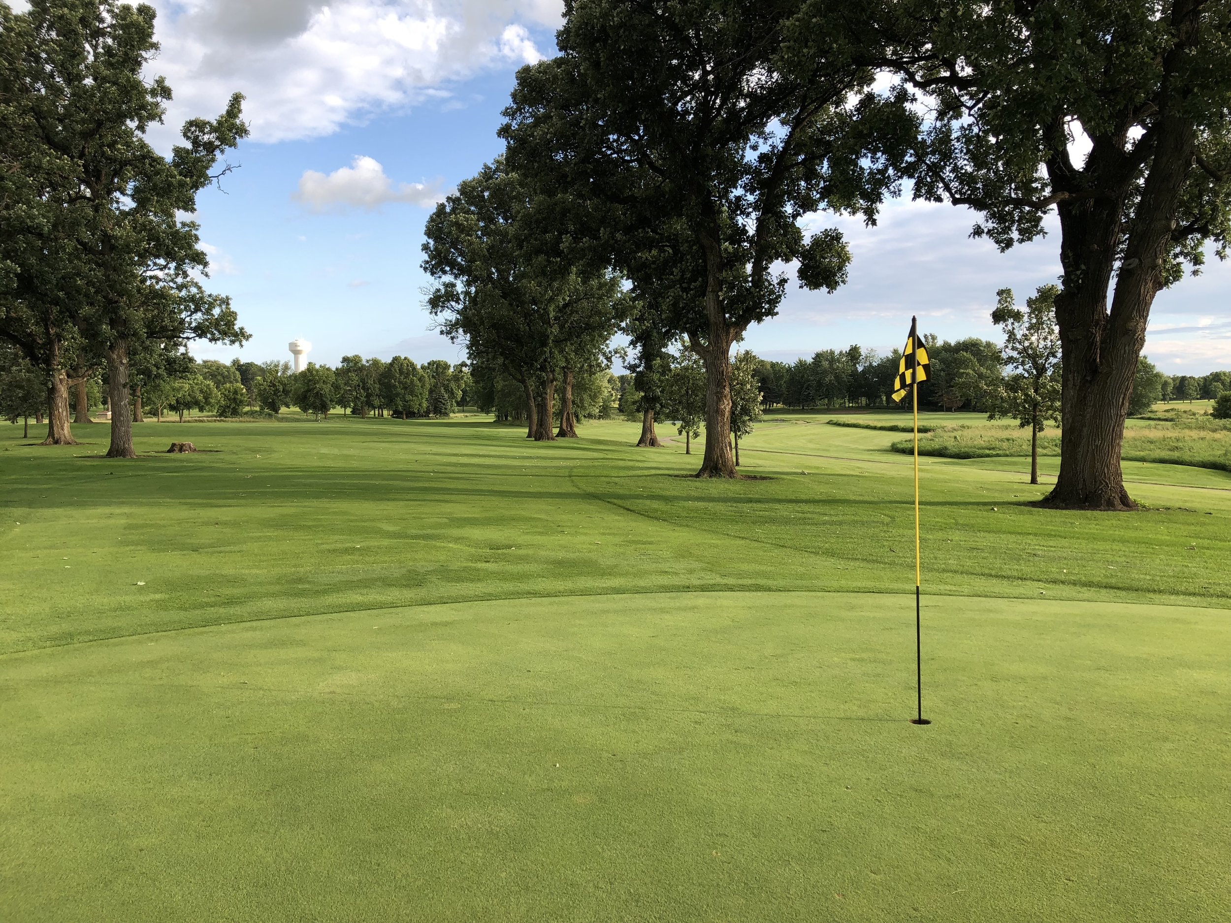 A yellow-and-black checkered flag on a green shaded by large trees at Montgomery National