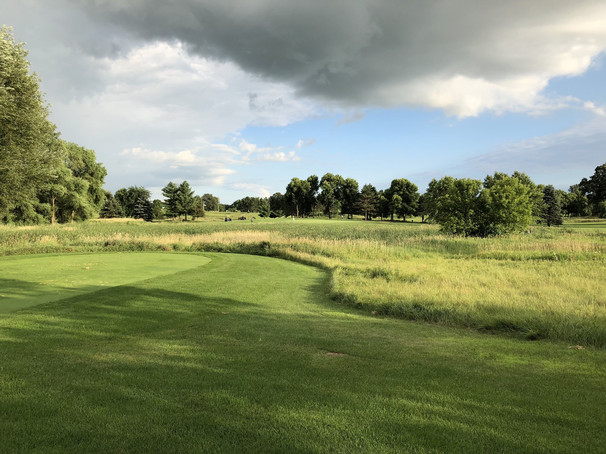 Mown turf curving past tall native grasses under a cloudy sky at Montgomery National