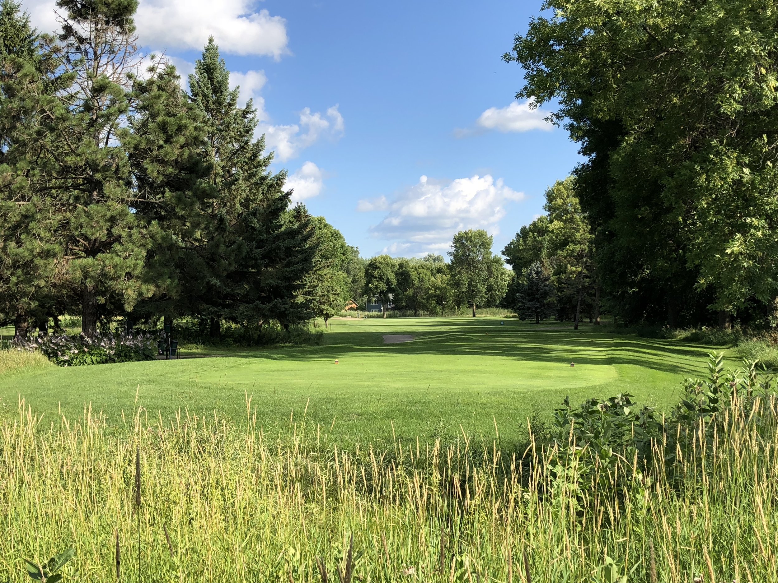 Mown turf seen through tall grass, with a fairway lined by pines and hardwoods beyond