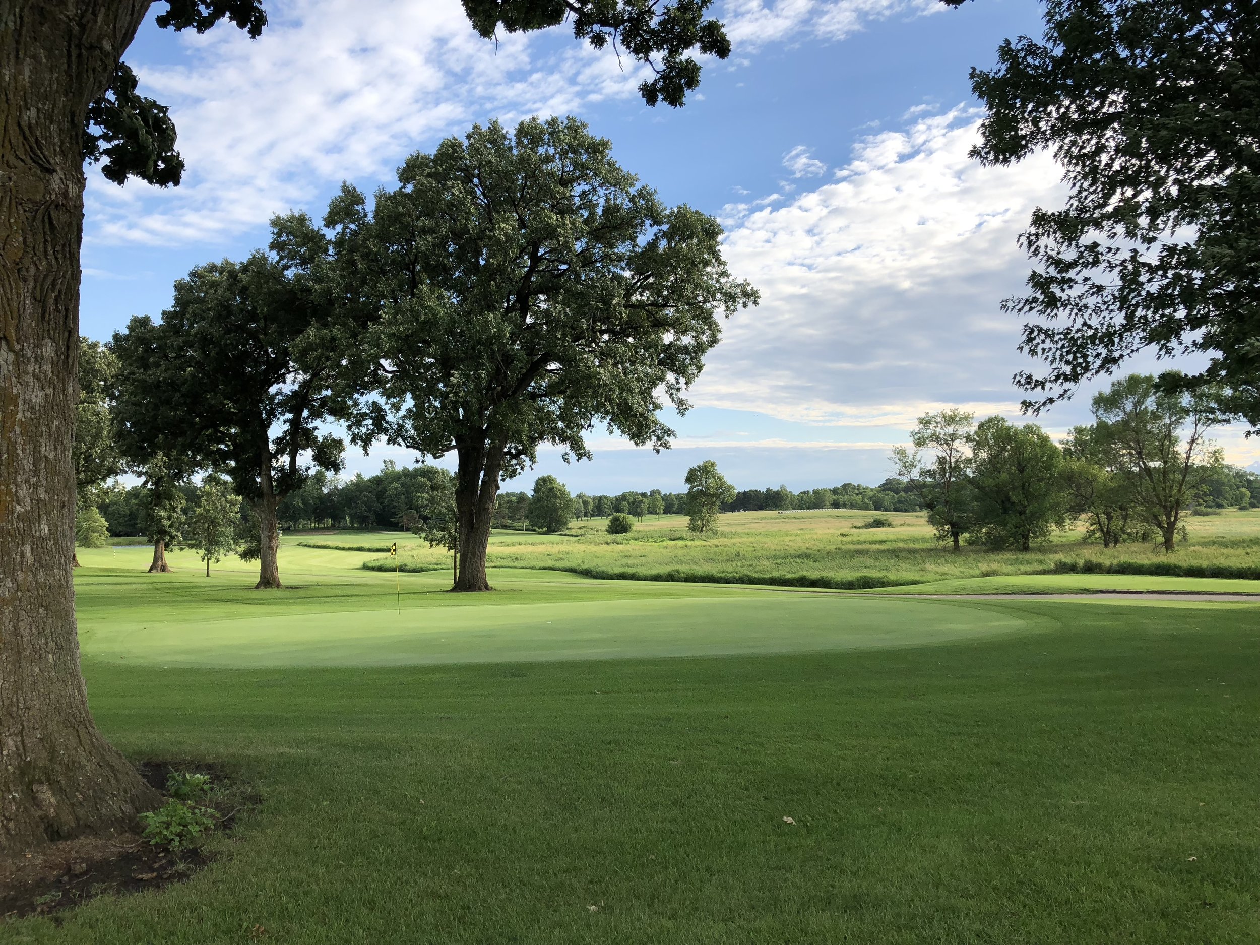 A green framed by large shade trees, with tall grass beyond, at Montgomery National