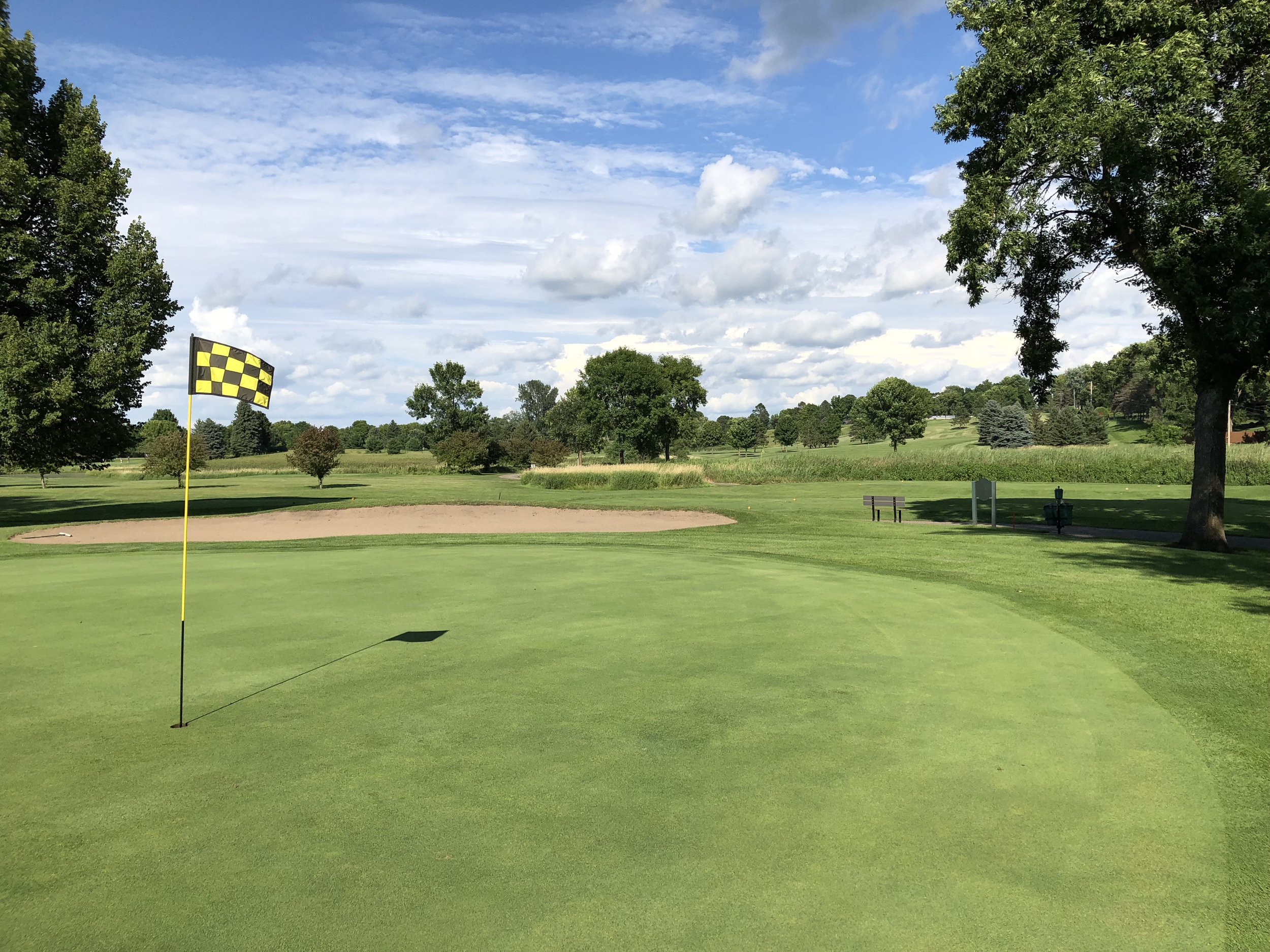A checkered flag on a green with a sand bunker behind it at Montgomery National